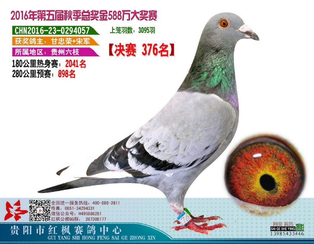 5ed3a4d5b2c973bd1adc92d9387639ed.jpg